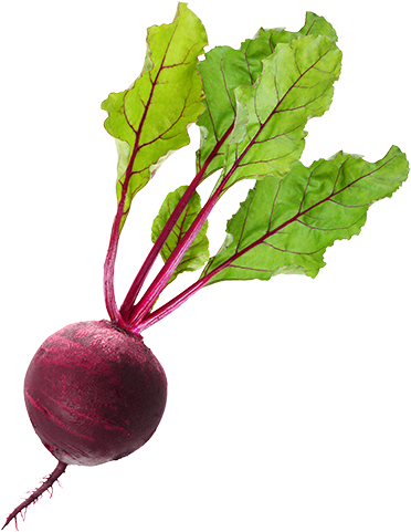 Beet Png (400x501), Png Download