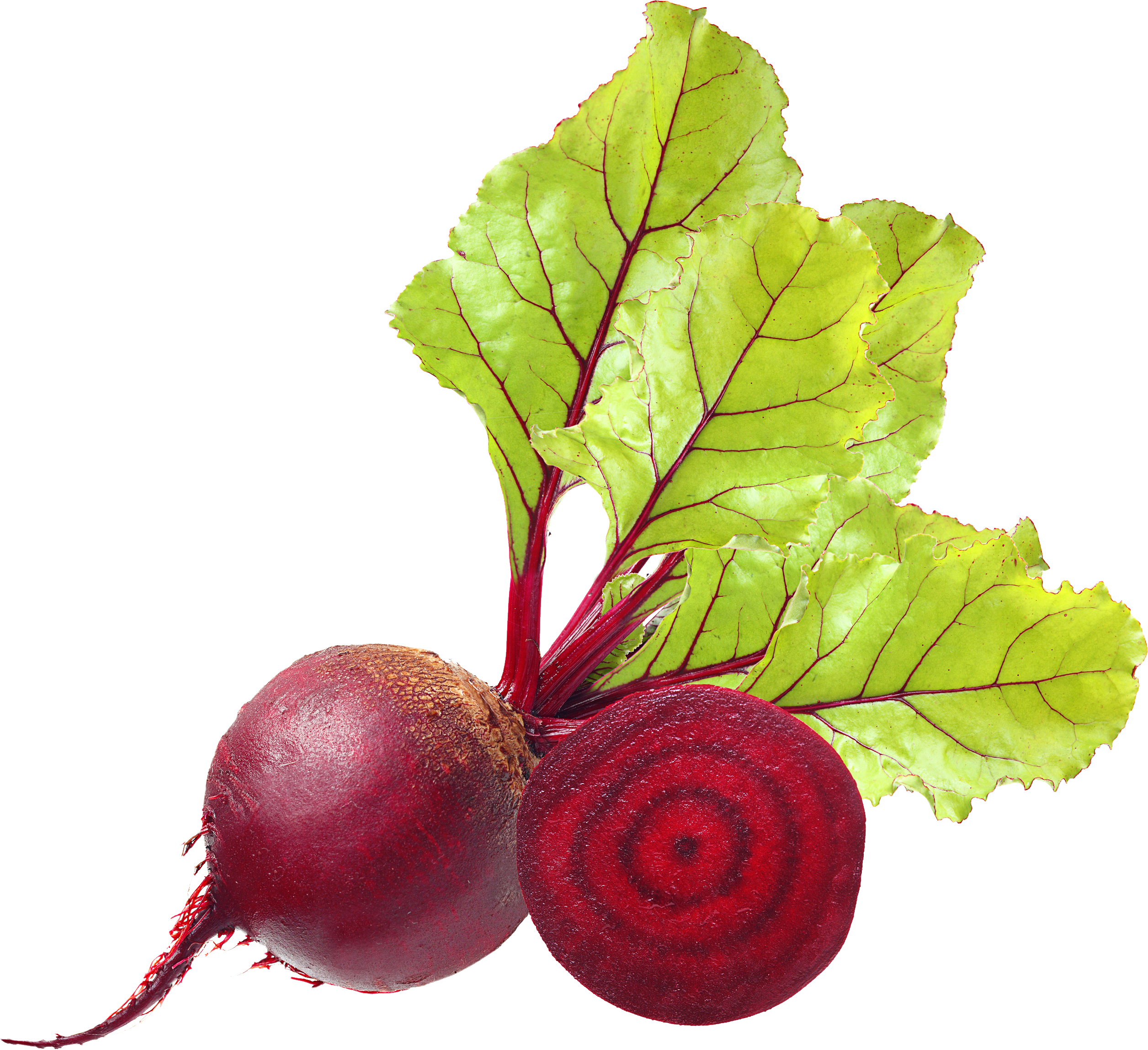 Beet Png (2512x2298), Png Download