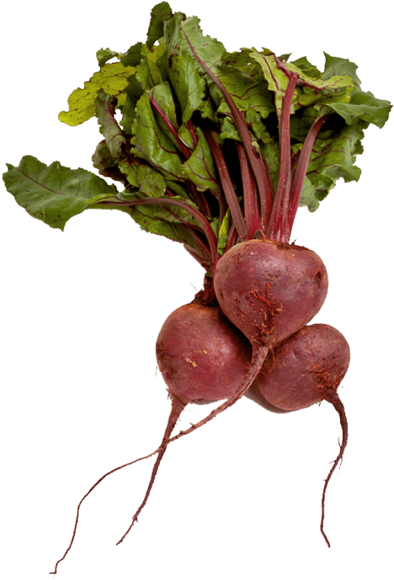 Free Png Beet Png Images Transparent - Beet Png Transparent (850x847), Png Download