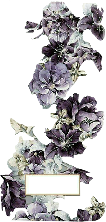 Watercolor Art, Watercolor Painting, Watercolour, Watercolors - Bougainvillea (415x818), Png Download