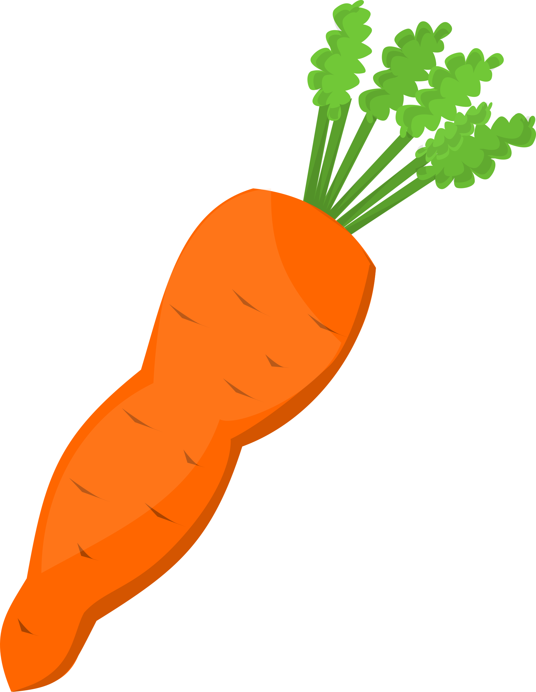 Carrot Clipart Orange Carrot - Orange Carrot Clip Art (1859x2400), Png Download
