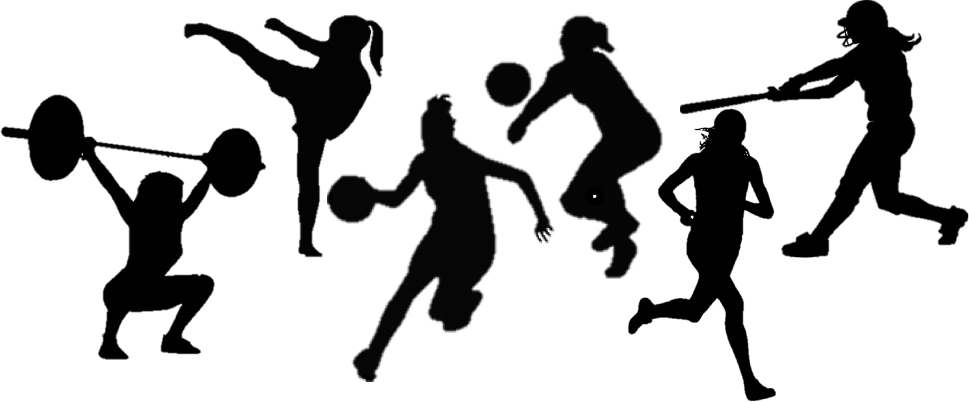 We Are A Group Of Carleton College Students Enrolled - Custom Volleyball Player Silhouette Throw Blanket (1389x576), Png Download