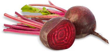 Beetroot - Imagenes De Remolacha Png (510x510), Png Download