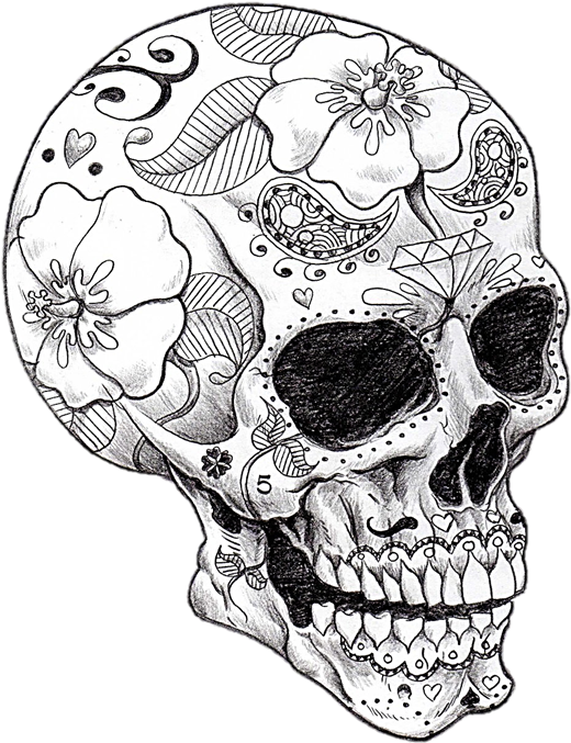 Vector Library Library Cool Art Skeletons And Spell - Adult Coloring Pages Skull (574x736), Png Download
