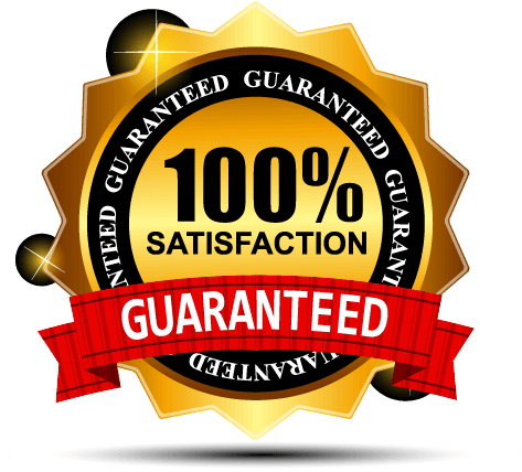 100% Satisfaction Guarantee - Perfect Life Ideas Giant Inflatable Bowling Game Set (479x441), Png Download