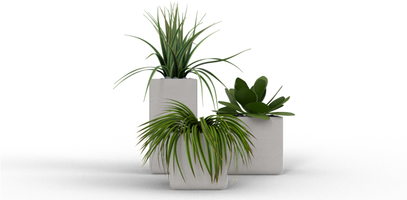 Hi Guys, My Name Is Ján Morek And I Have Started An - Agave (800x400), Png Download