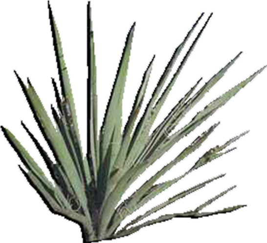 View In My Picture - Product (600x600), Png Download