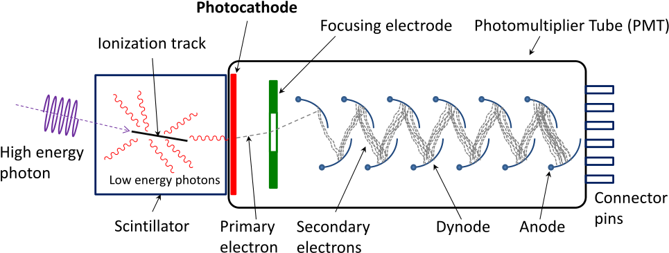 Schematic Of A Photomultiplier Tube Coupled To A Scintillator - Photomultiplier Scheme (1000x400), Png Download