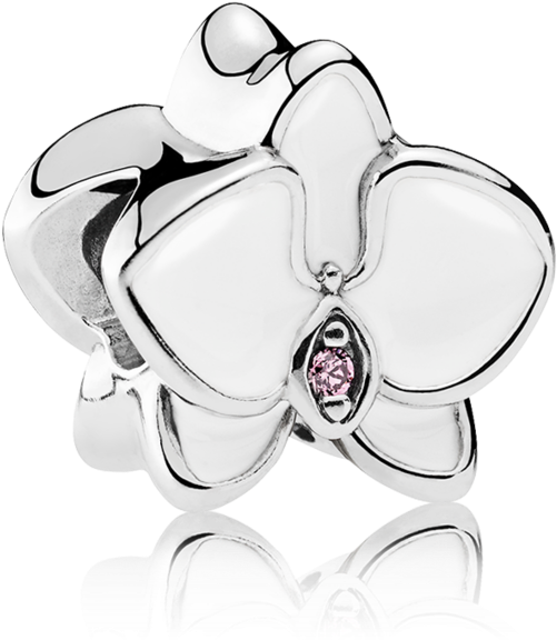 White Orchid - Charm Pandora Orchidea Bianca (1000x1000), Png Download