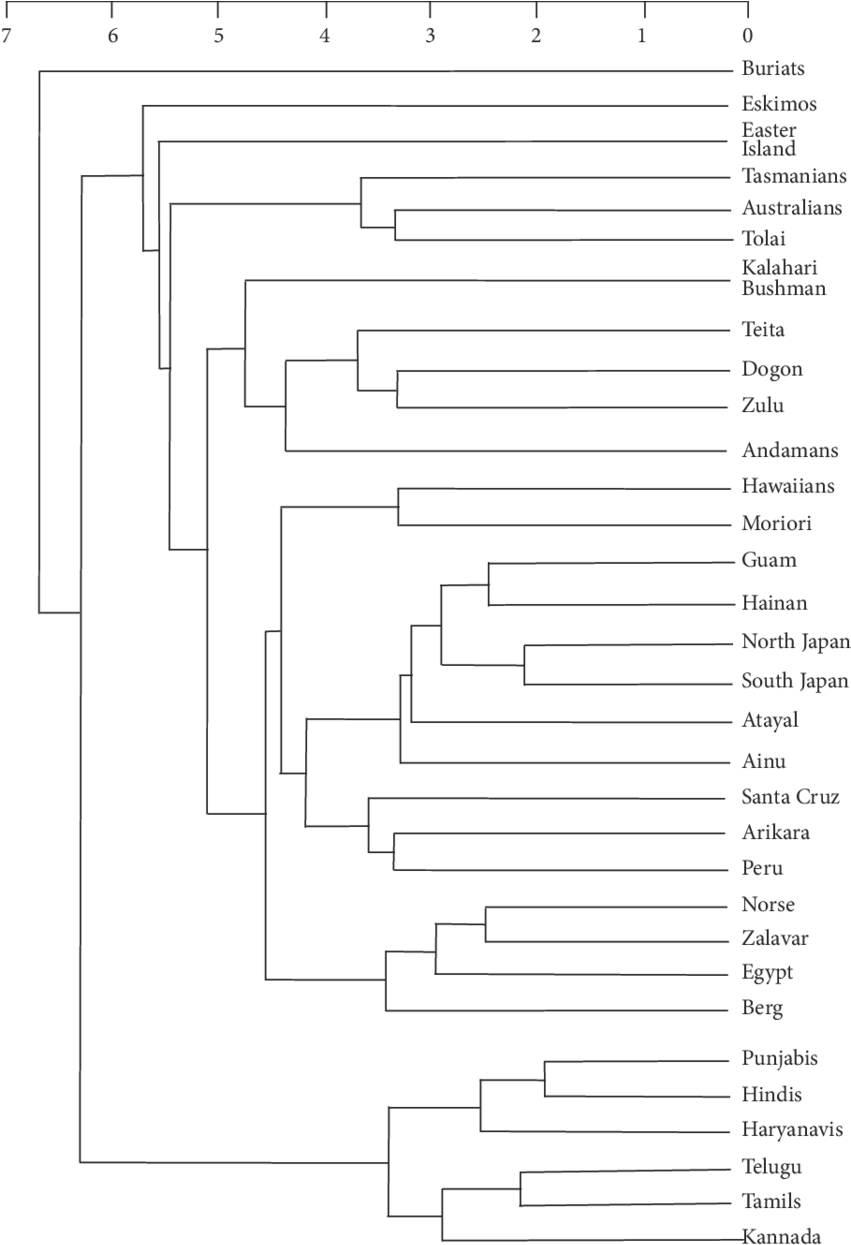 Seriated Average Linkage Hierarchical Dendrogram, Mahalanobis - Document (850x1252), Png Download