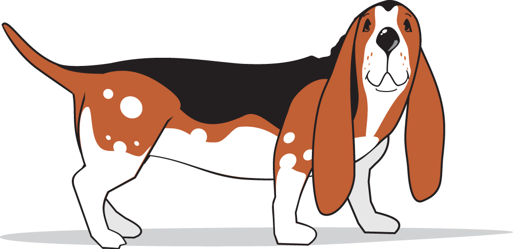 Elvis Rain - Dog (1000x487), Png Download