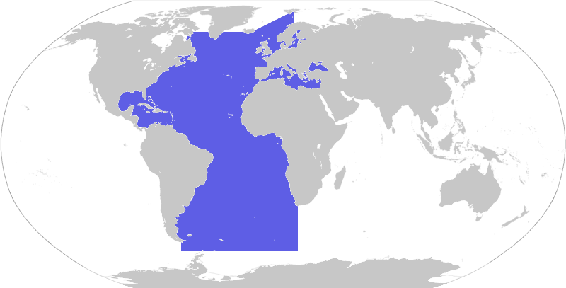World Map Blank Borders (800x407), Png Download