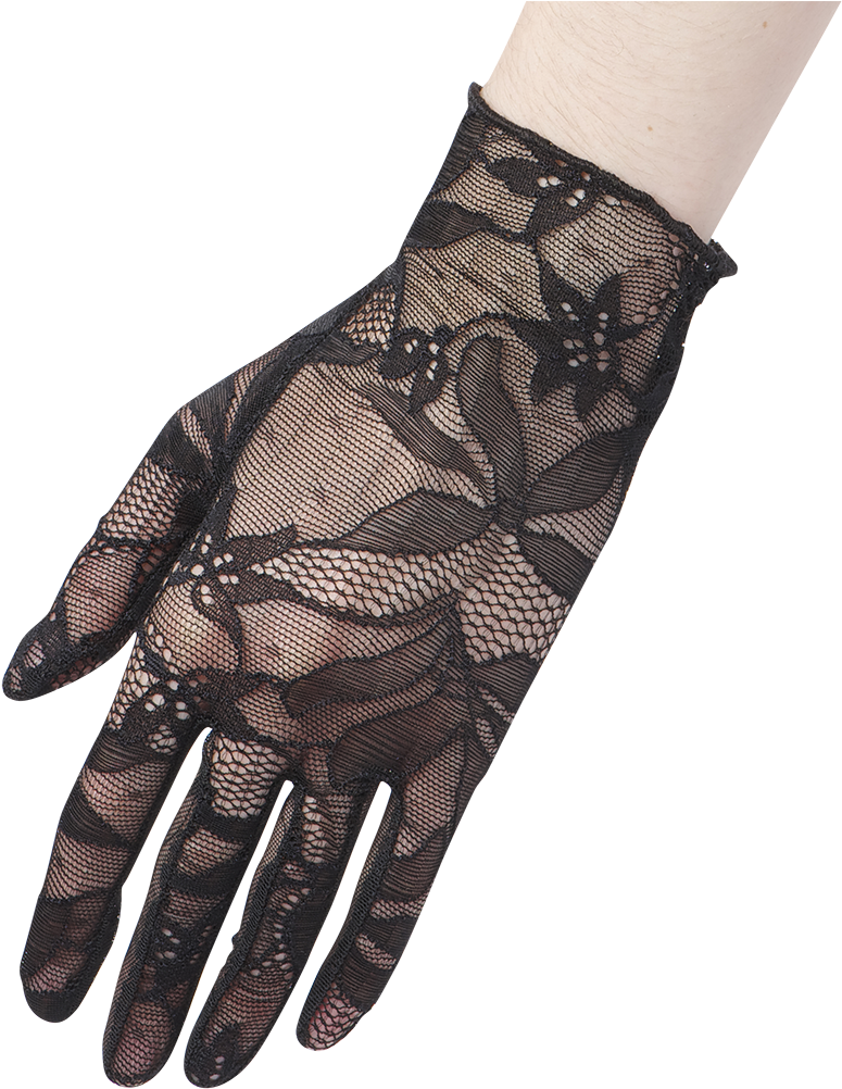 0080 V=1536581470 - Cornelia James Lace Gloves (1024x1024), Png Download