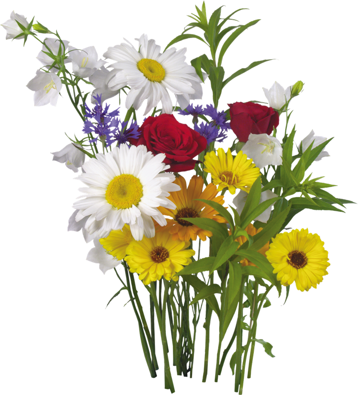 Mi Artista Favorito Es - Flores Png Para Photoscape (725x800), Png Download