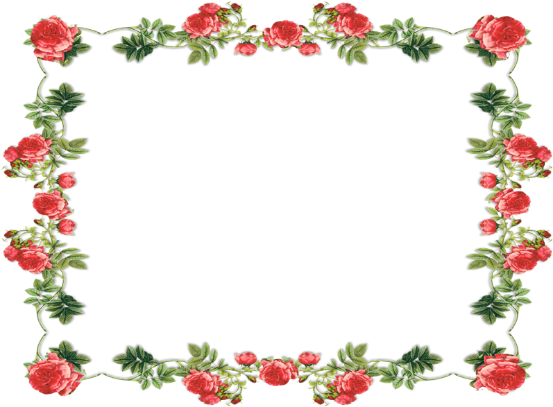 Marcos Con Flores Png Picture Transparent - Frame Floral Quadrada (800x600), Png Download