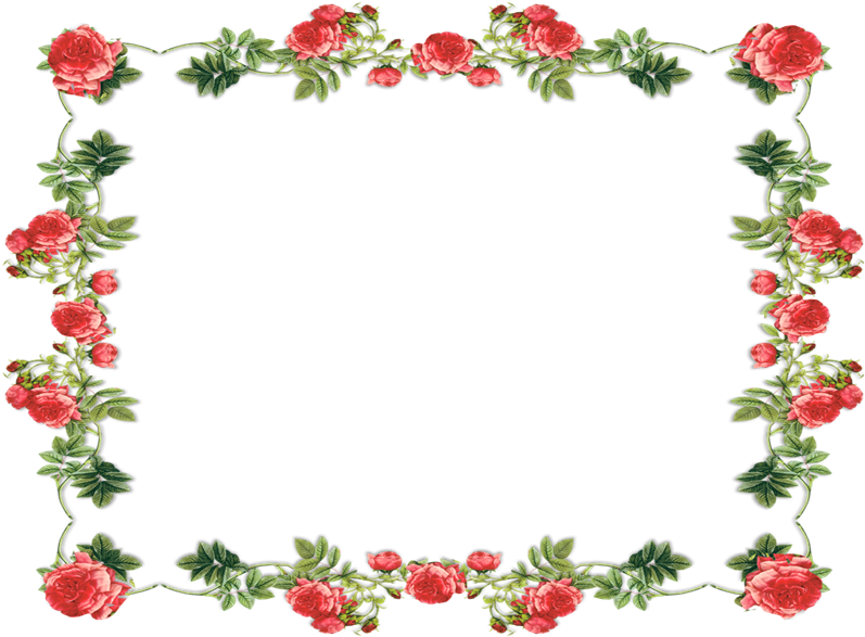 Download Marcos Con Flores Png Picture Transparent Frame Floral Quadrada Png Image With No Background Pngkey Com