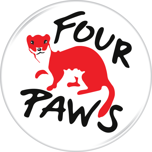 Four Paws - Home - Four Paws International Logo (592x592), Png Download