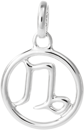 Capricorn Zodiac Image - Zodiac (939x1024), Png Download