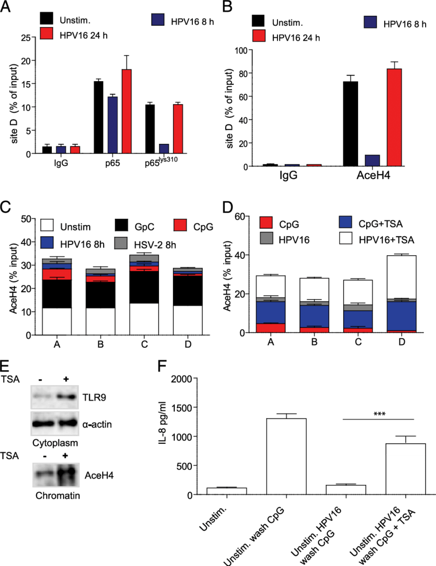Hpv16 Stimulation In Hks Induces P65 Lys 310 At Site - Tlr9 (850x1102), Png Download