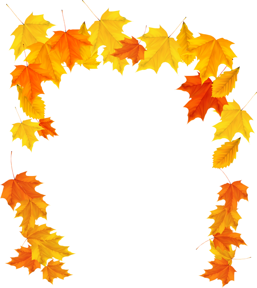 Download Желтые Листья Без Фона PNG Image with No Background - PNGkey.com