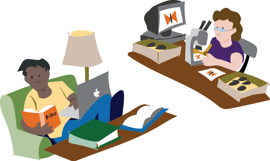 But Recruiting Skilled Identifiers To Review Observations (863x517), Png Download