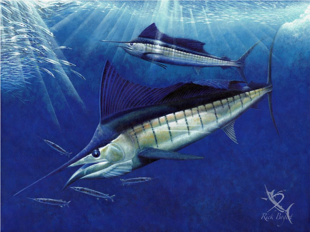 Sailfish Ball - Sailfish Ball Throw Blanket (1000x1000), Png Download