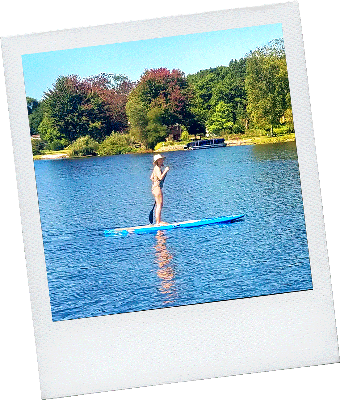 What We Did - News (1103x1355), Png Download