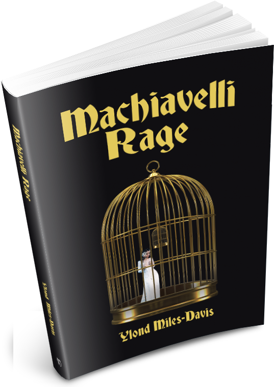 Machiavelli Rage Is A Debut Historical Fiction By Ylond - Machiavelli Rage (600x760), Png Download