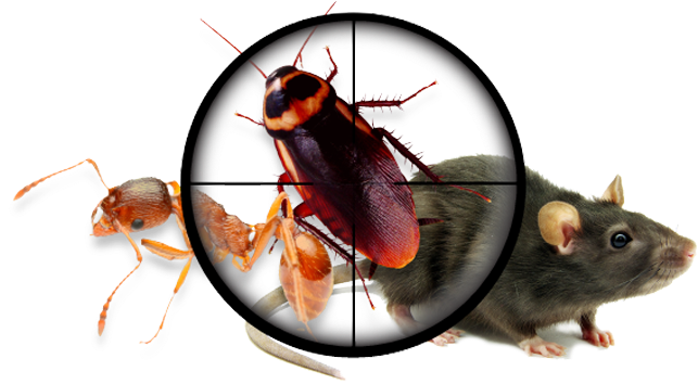 For All Your Pest Control Needs - Planted Perfect Pro Pest Control - Natural Ultrasonic (900x431), Png Download