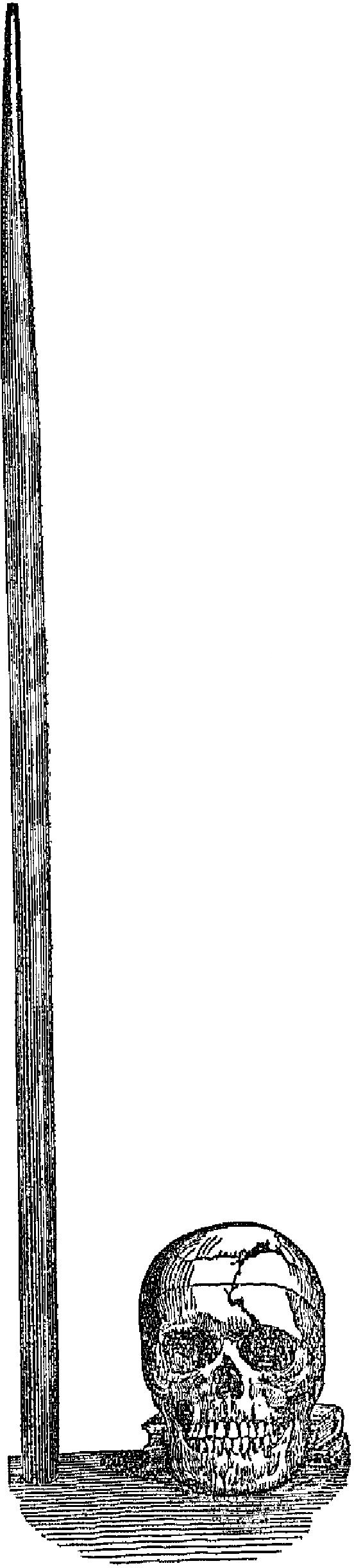 Recovery From The Passage Of An Iron Bar Through The - Office Ruler (552x2440), Png Download