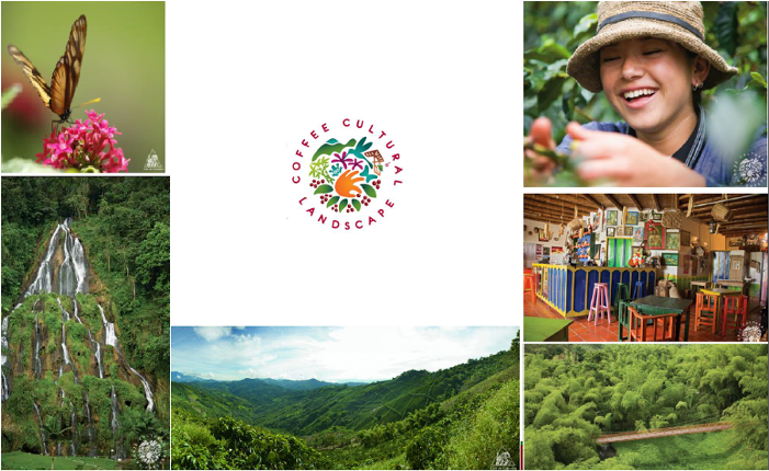 Paisaje Cultural Cafetero, Un Café Excepcional En El - Collage (700x630), Png Download