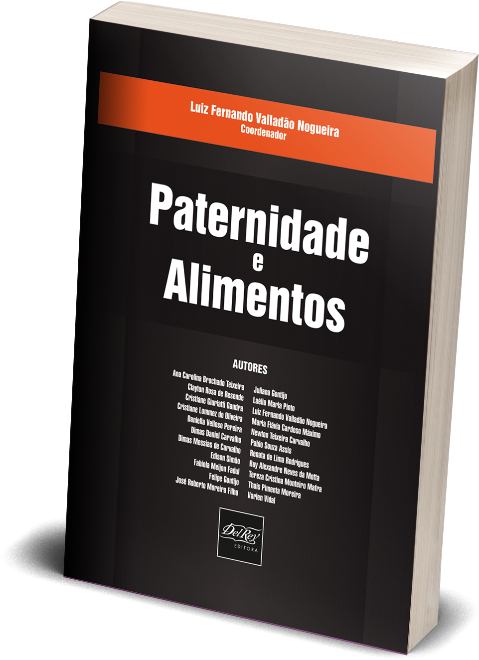 Paternidade E Alimentos - Livro - Paternidade E Alimentos - Luiz Fernando Vallad?o (1503x1539), Png Download