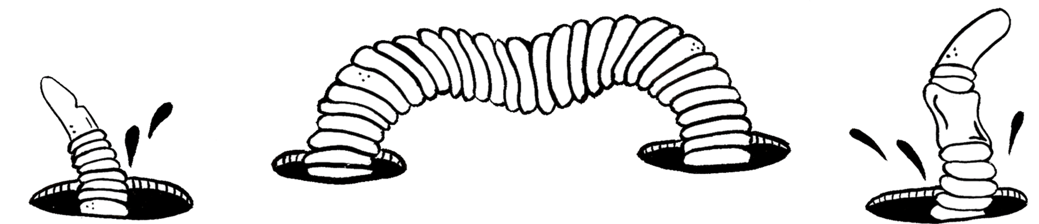 1 - Alsophila Pometaria (2250x750), Png Download
