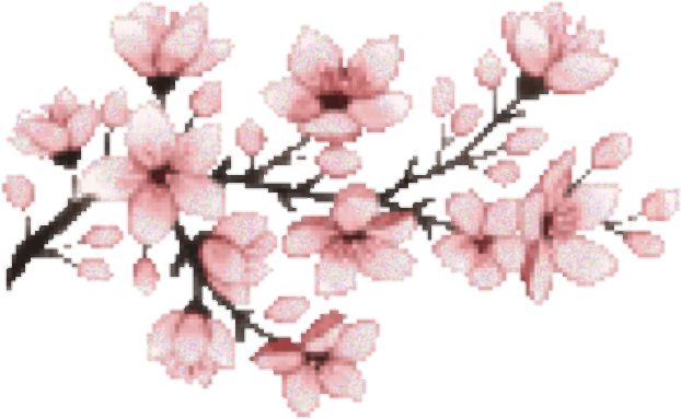 Report Abuse - Cherry Blossom Pixel Gif (720x457), Png Download