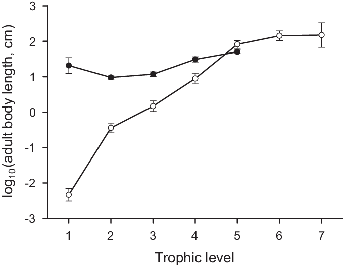 Mean Log 10 Body Length Versus Trophic Level In Pelagic - Plot (679x529), Png Download