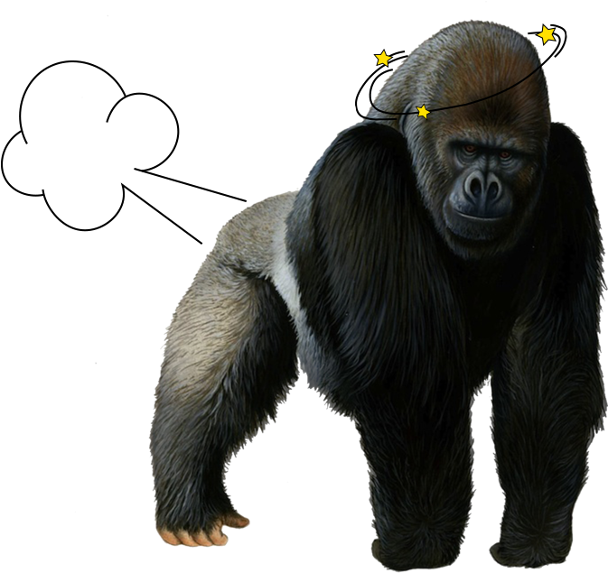 Gorilla - Gorilla Png (737x634), Png Download