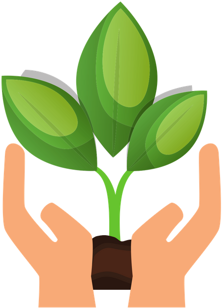 Donate To The Wayne Township Adult Education Legacy - Hands Holding Plant (800x800), Png Download