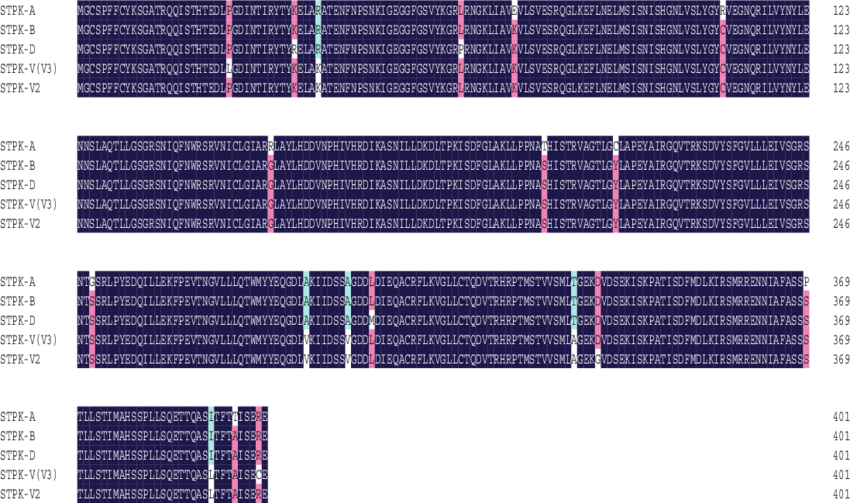Alignment Of Amino Acid Sequences Deduced From Stpk - Tartan (850x503), Png Download
