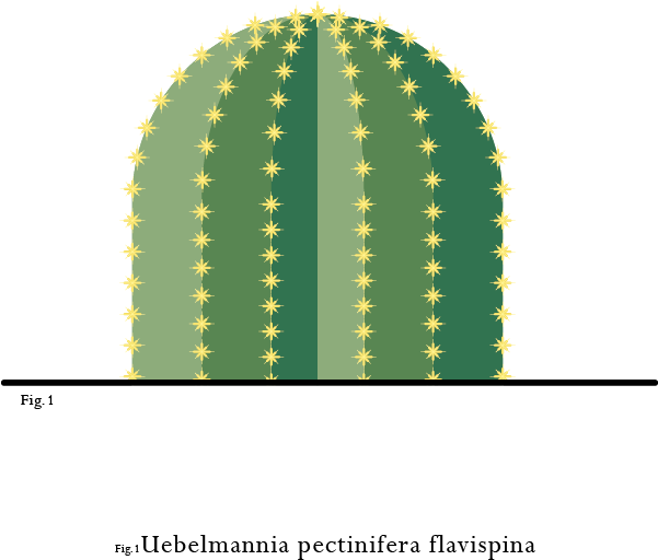 Spiky Companions - Circle (600x922), Png Download