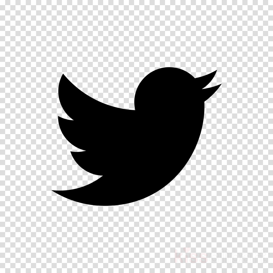 Twitter Recipes Clipart Social Media Online Advertising - Twitter Clipart (900x900), Png Download