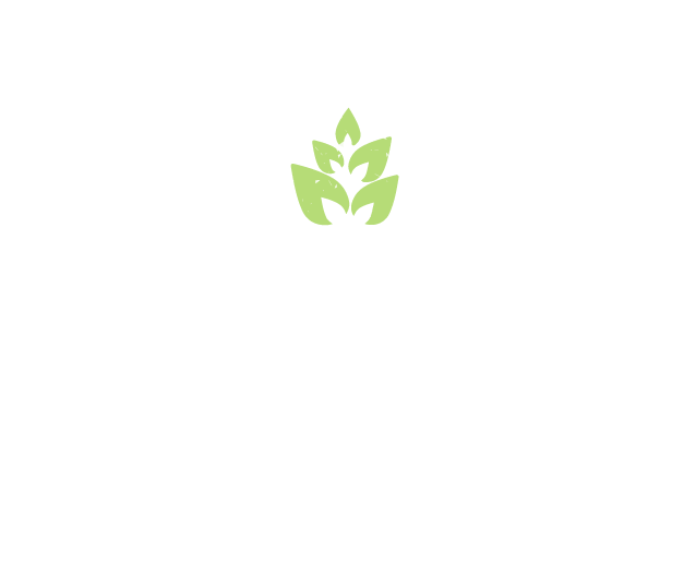 Download - Boston (659x563), Png Download