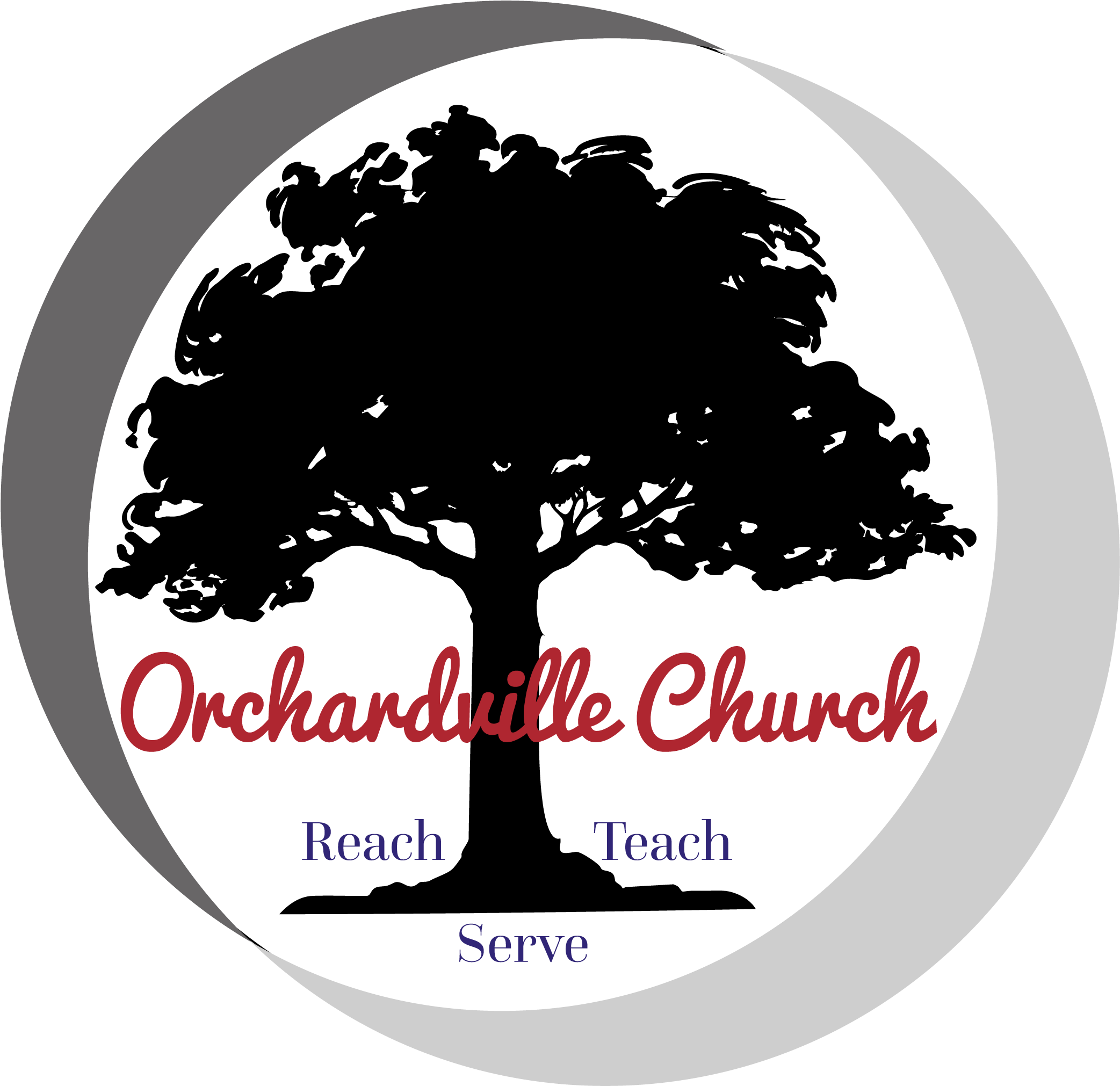 Elm Tree Black And White (2400x2400), Png Download