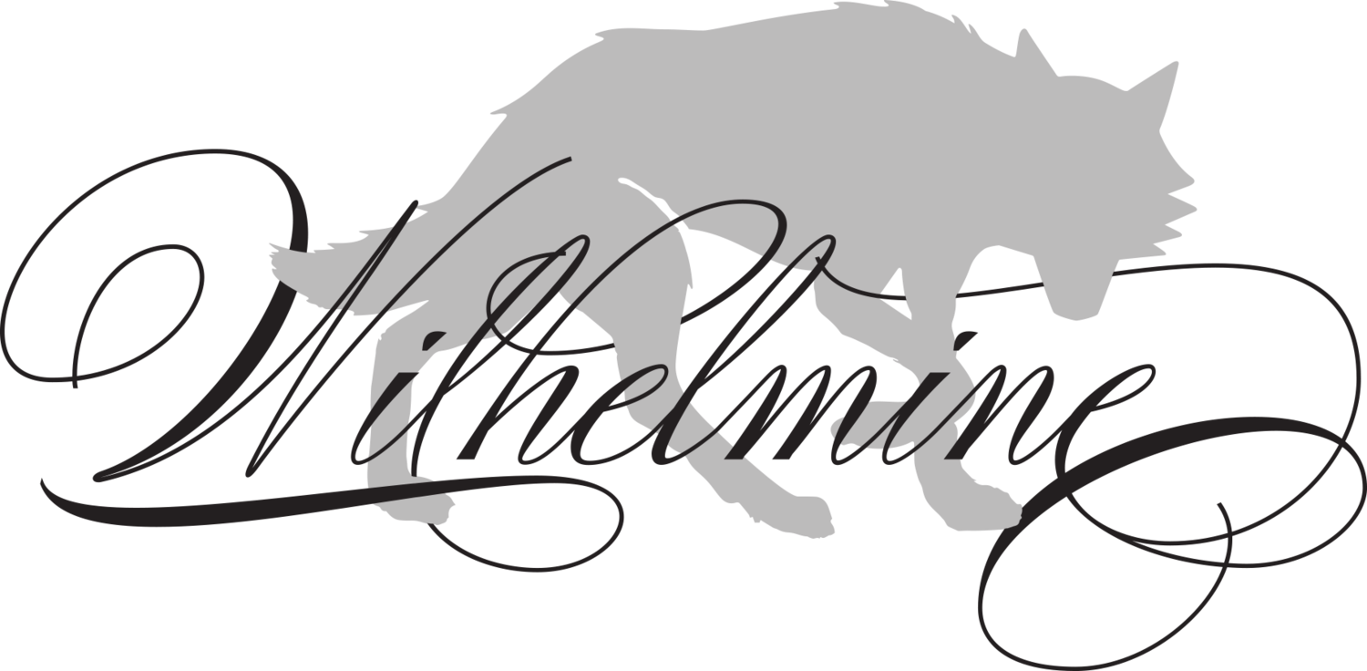 Wolf & Wilhelmine Is A Brand Strategy Consultancy That - Wolf And Wilhelmine Logo (1500x736), Png Download