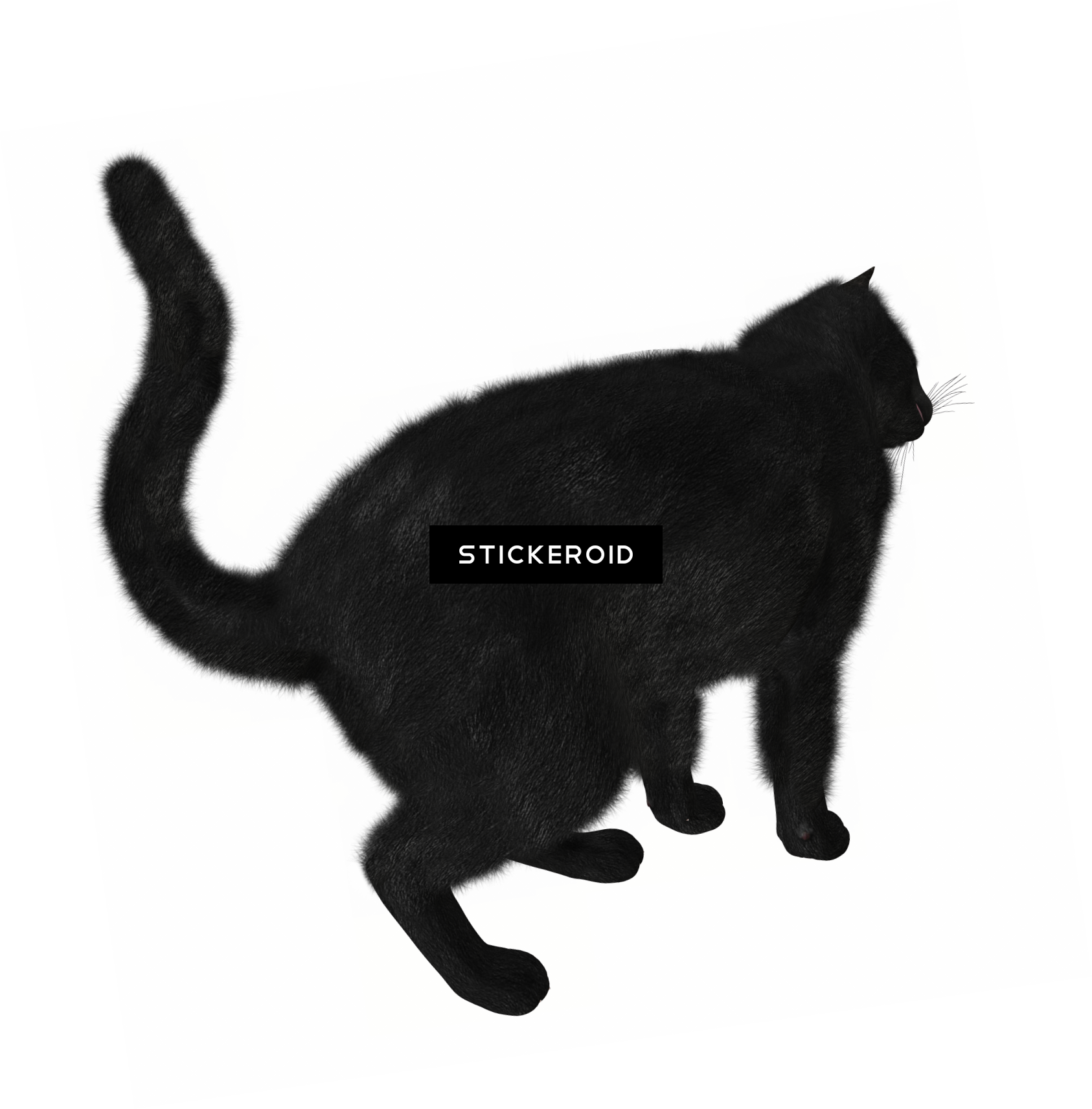 Лиса Fox Silhouettes Силуэт - Black Cat (1686x1712), Png Download