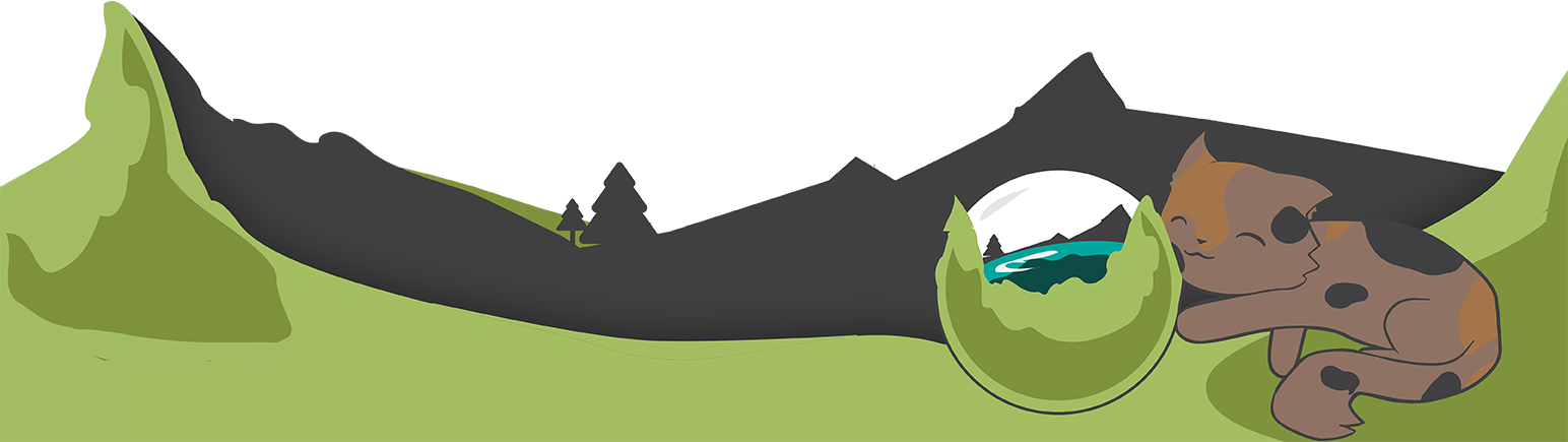 Storing Caldera Forms Entries In Other Database Tables - Form (1544x435), Png Download