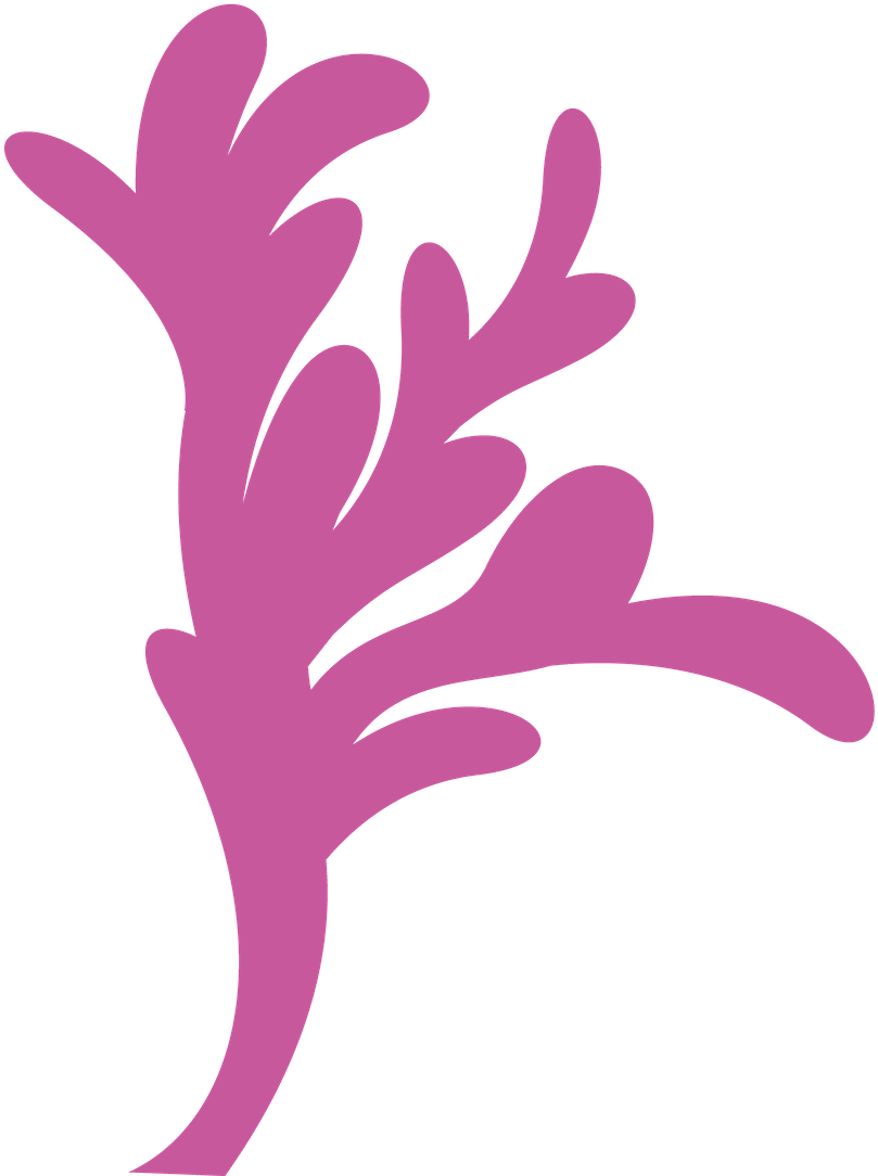 Little Mermaid Parties, The Little Mermaid, Bubble - Bubble Guppies Minus Png (900x1122), Png Download