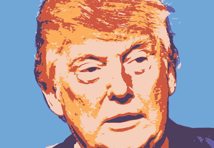 Love Him, Hate Him, Vote For Him - Donald Trump Portrait Picture On Stretched Canvas Wall (750x520), Png Download