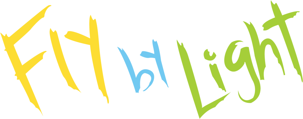 Our Flagship Program - Logo (1024x412), Png Download