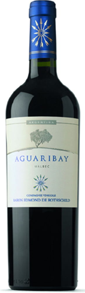 Flechas De Los Andes Aguaribay Malbec - Ch Cap De Faugeres 2010 (683x1024), Png Download