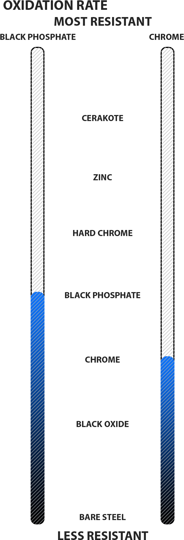 Ez Curl Warranty - Parallel (720x1889), Png Download